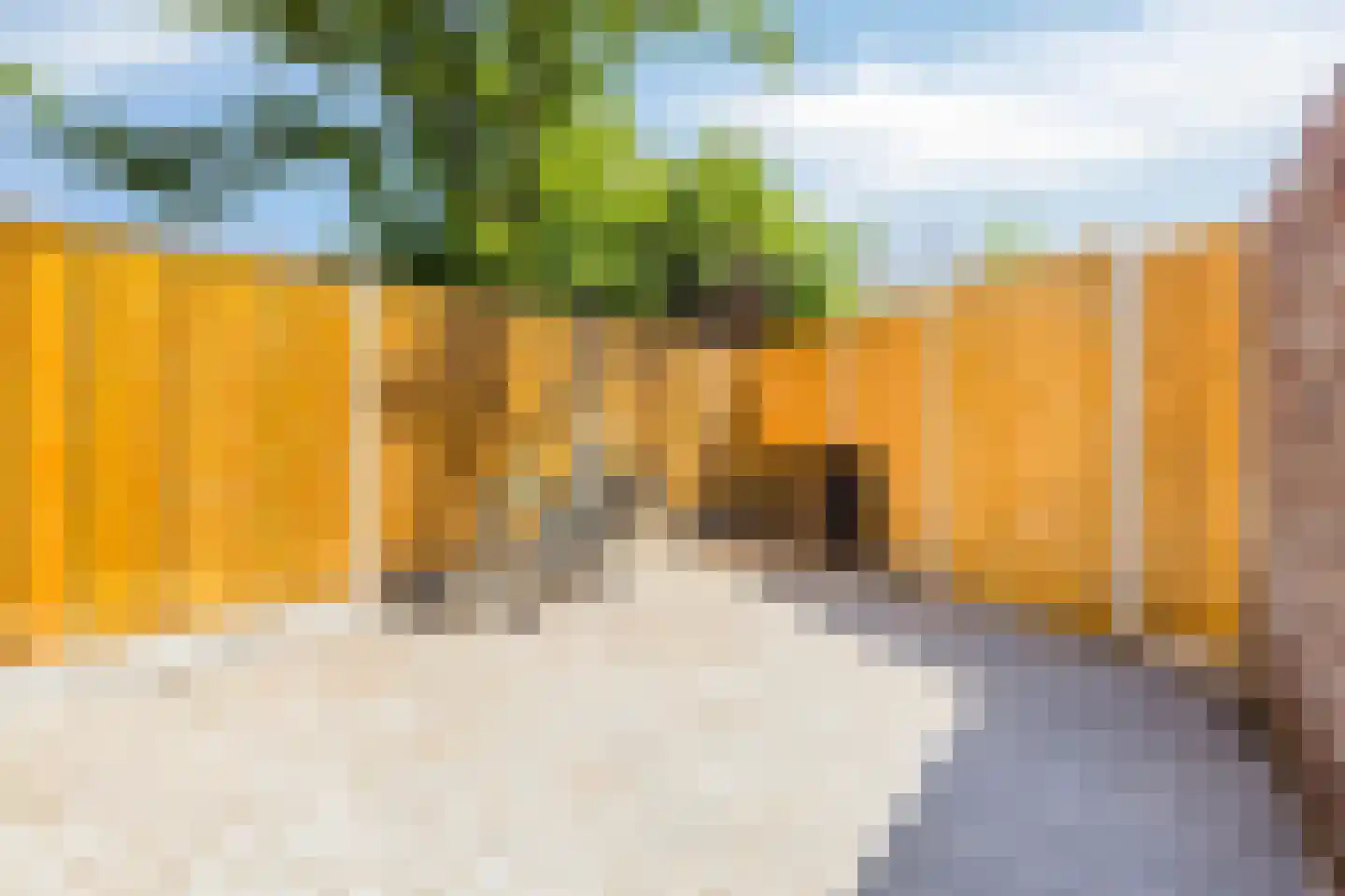 Vestdijkstraat 23 Hulst thumbnail 27