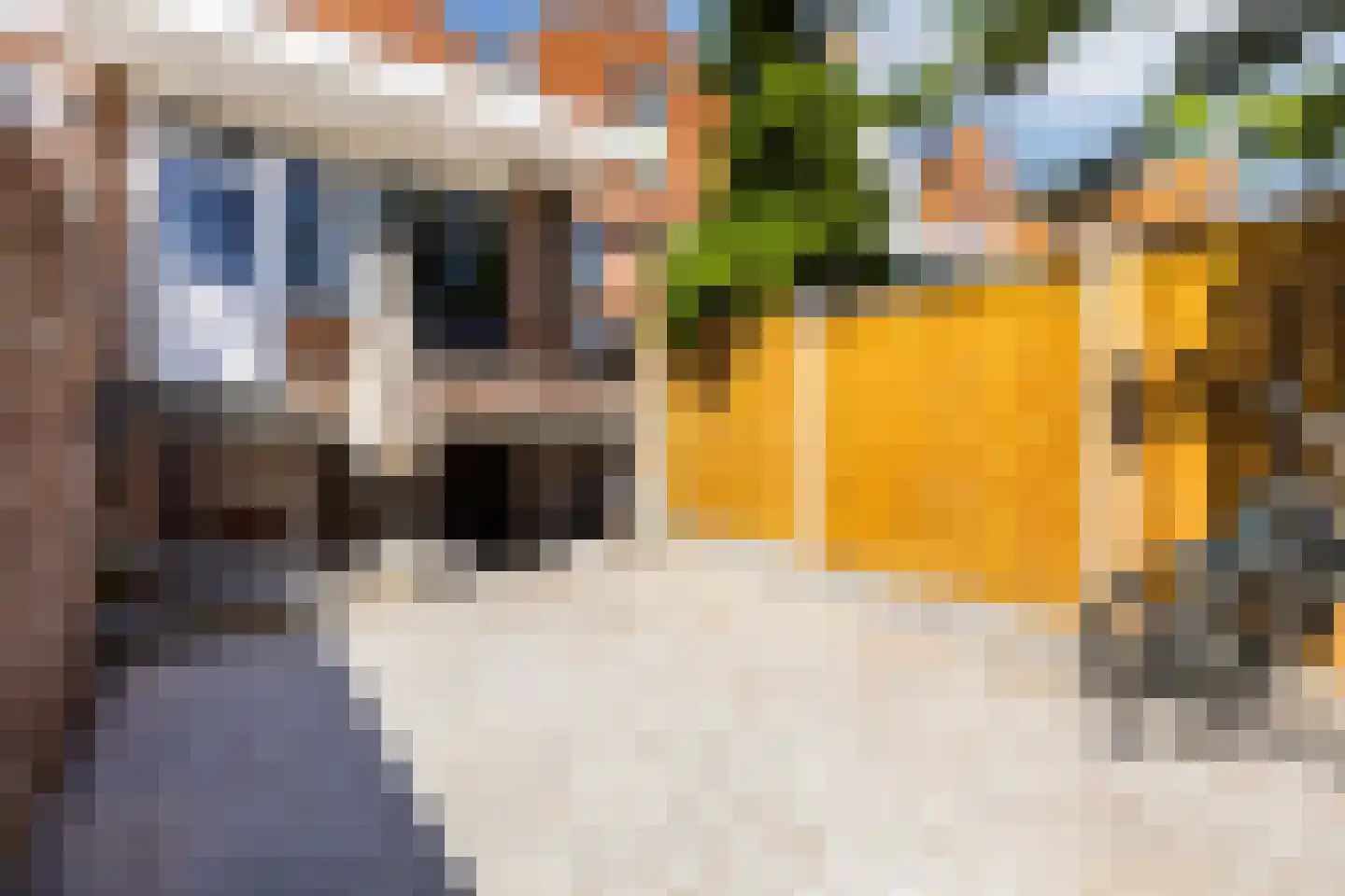 Vestdijkstraat 23 Hulst thumbnail 28