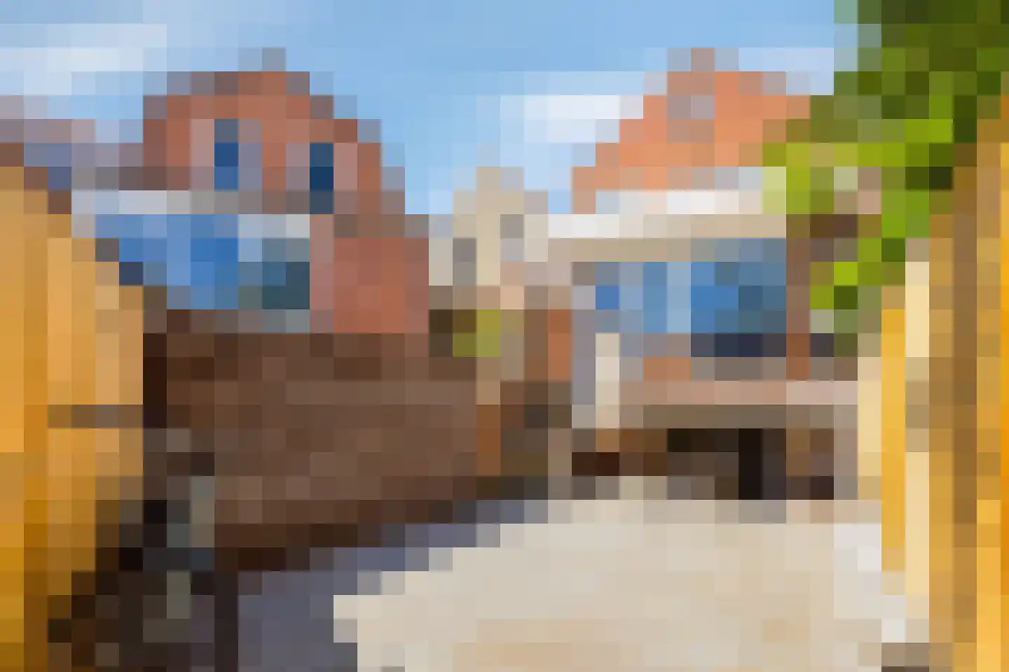 Vestdijkstraat 23 Hulst thumbnail 29