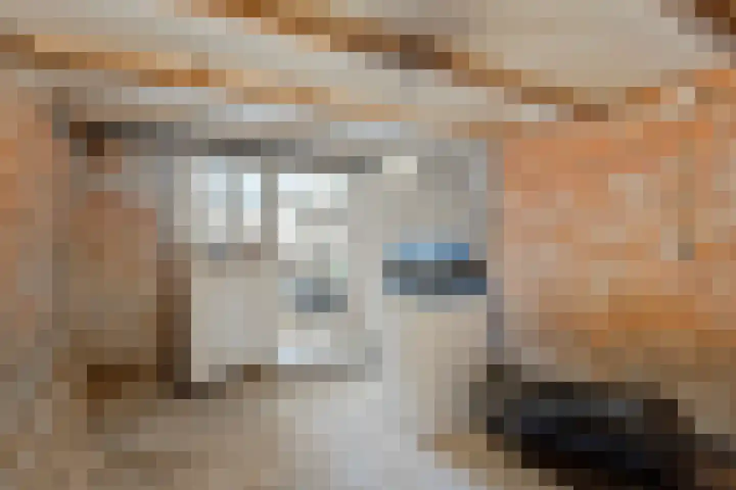 Vestdijkstraat 23 Hulst thumbnail 31