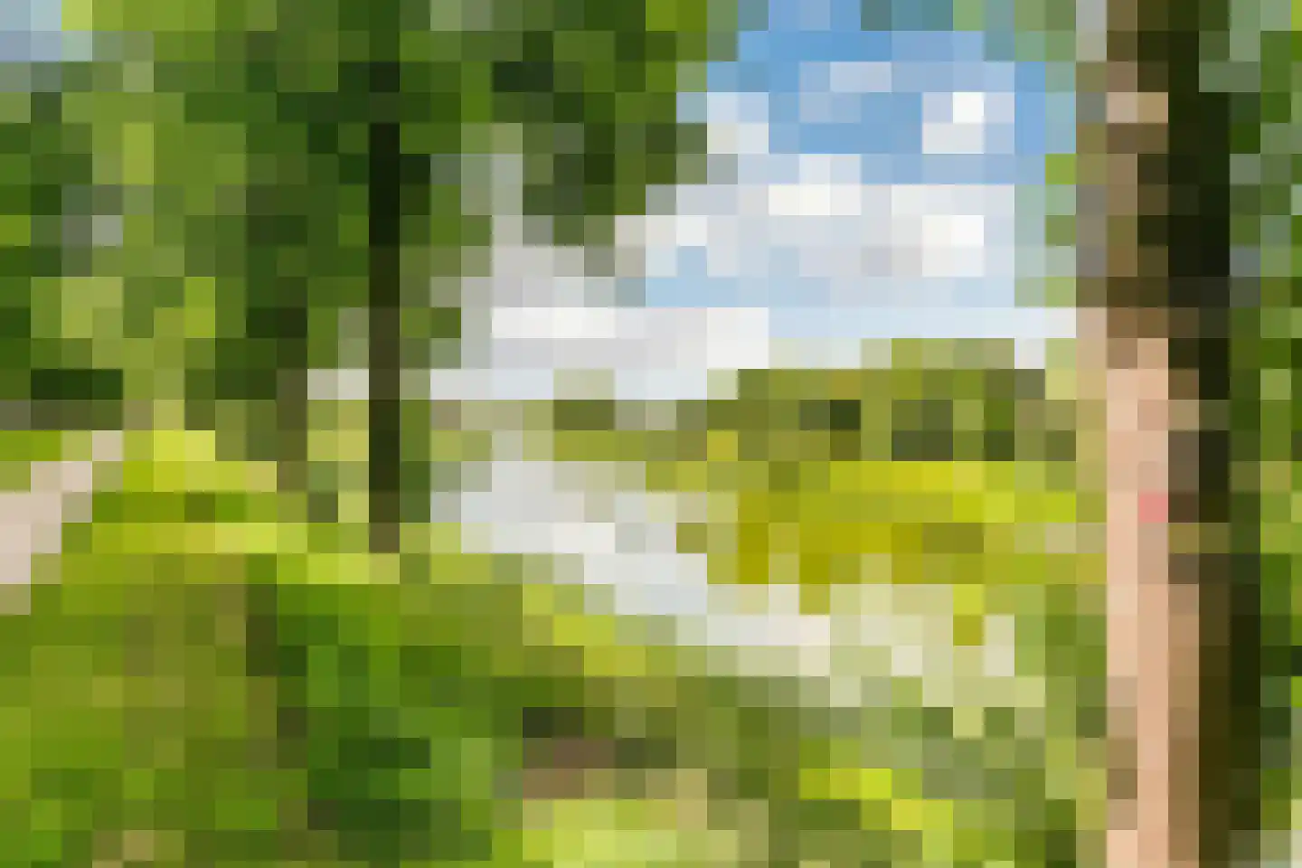 Vestdijkstraat 23 Hulst thumbnail 34