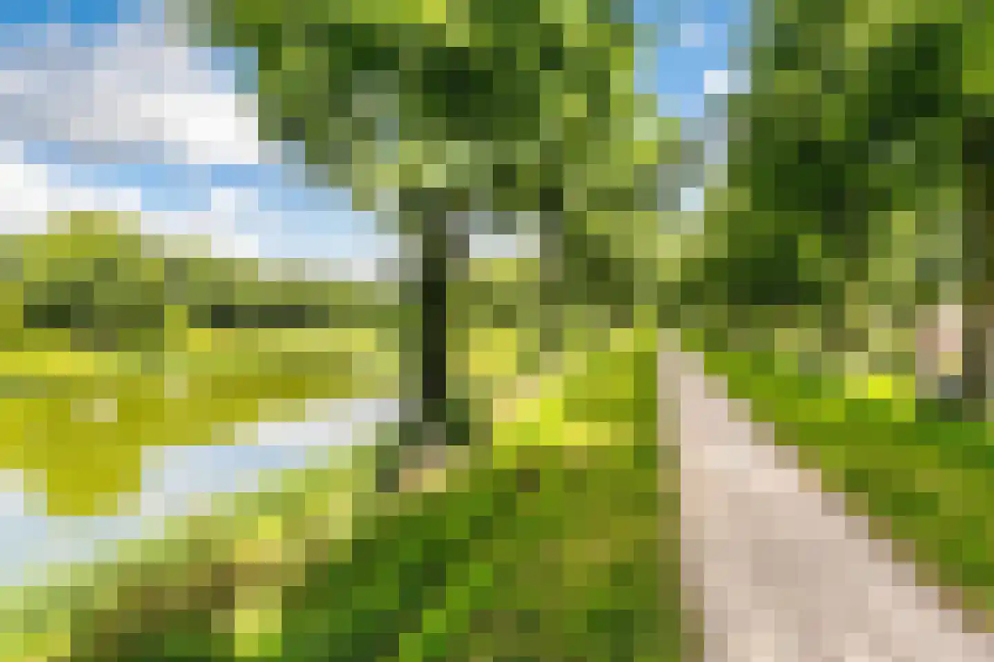 Vestdijkstraat 23 Hulst thumbnail 35