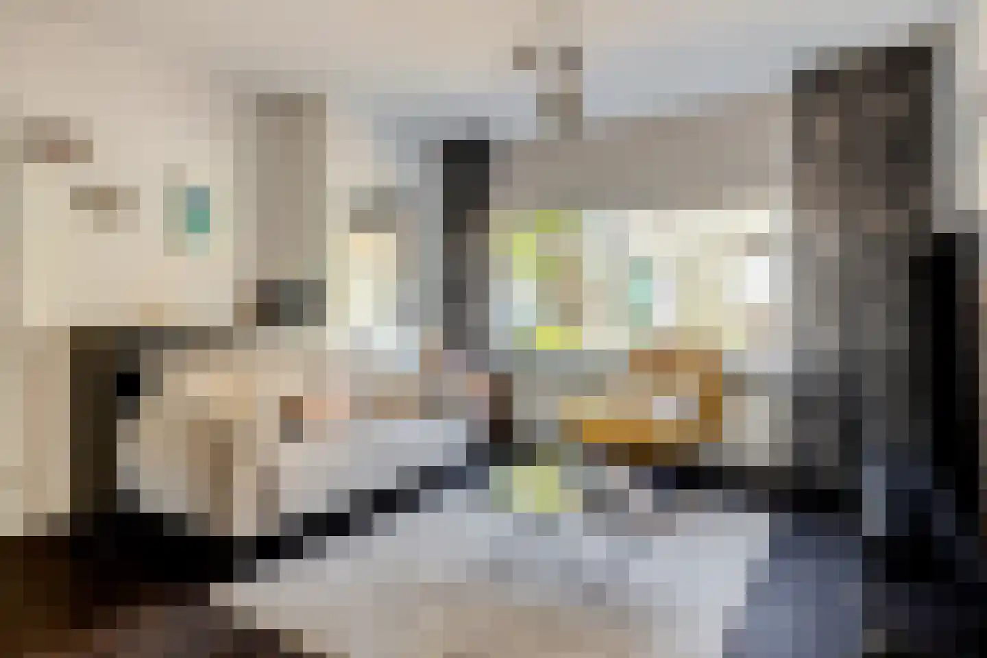 Vestdijkstraat 23 Hulst thumbnail 4