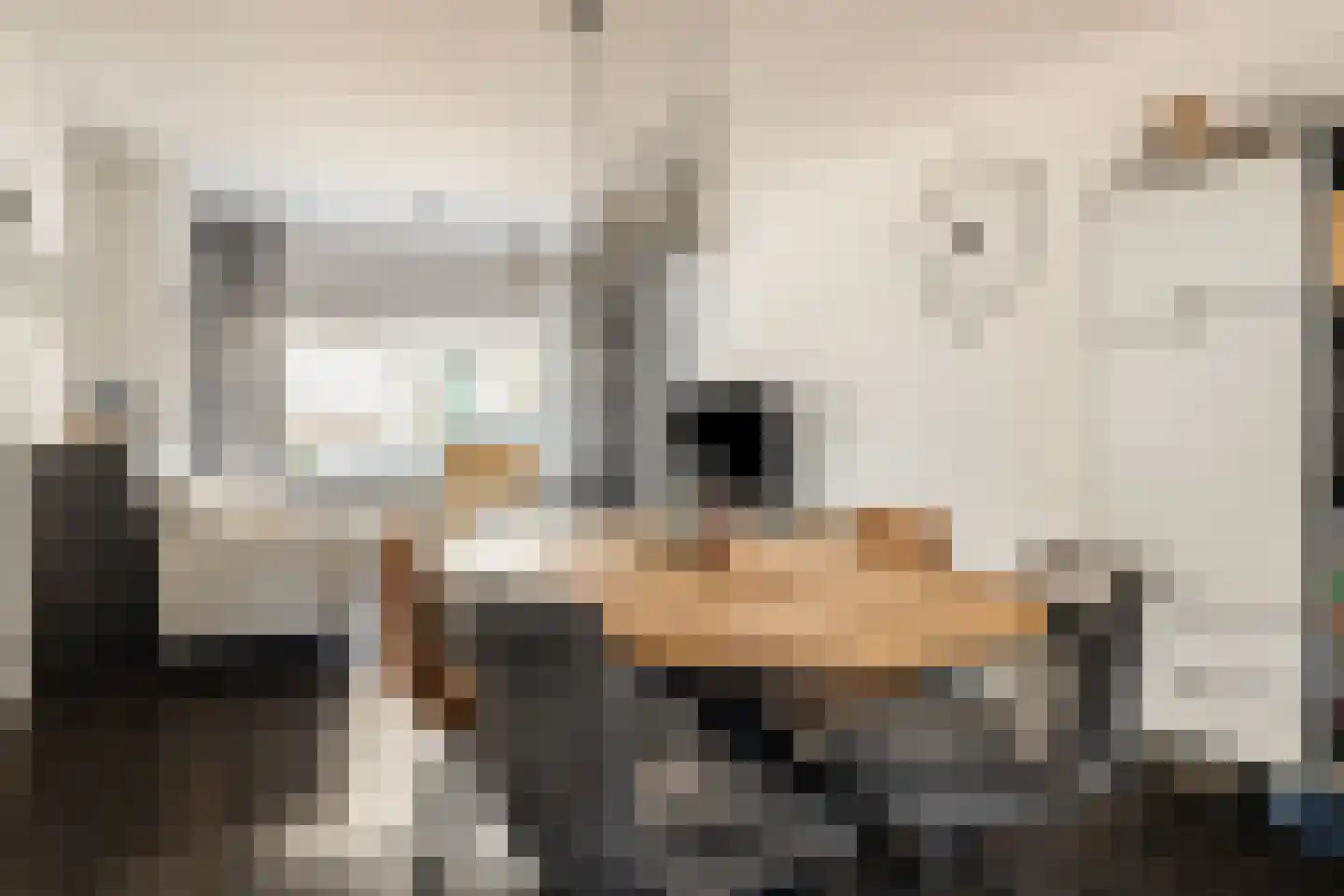 Vestdijkstraat 23 Hulst thumbnail 7