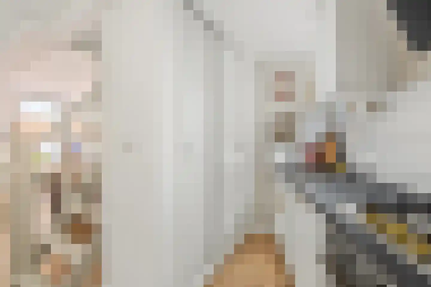 Vestdijkstraat 3 Hulst thumbnail 13