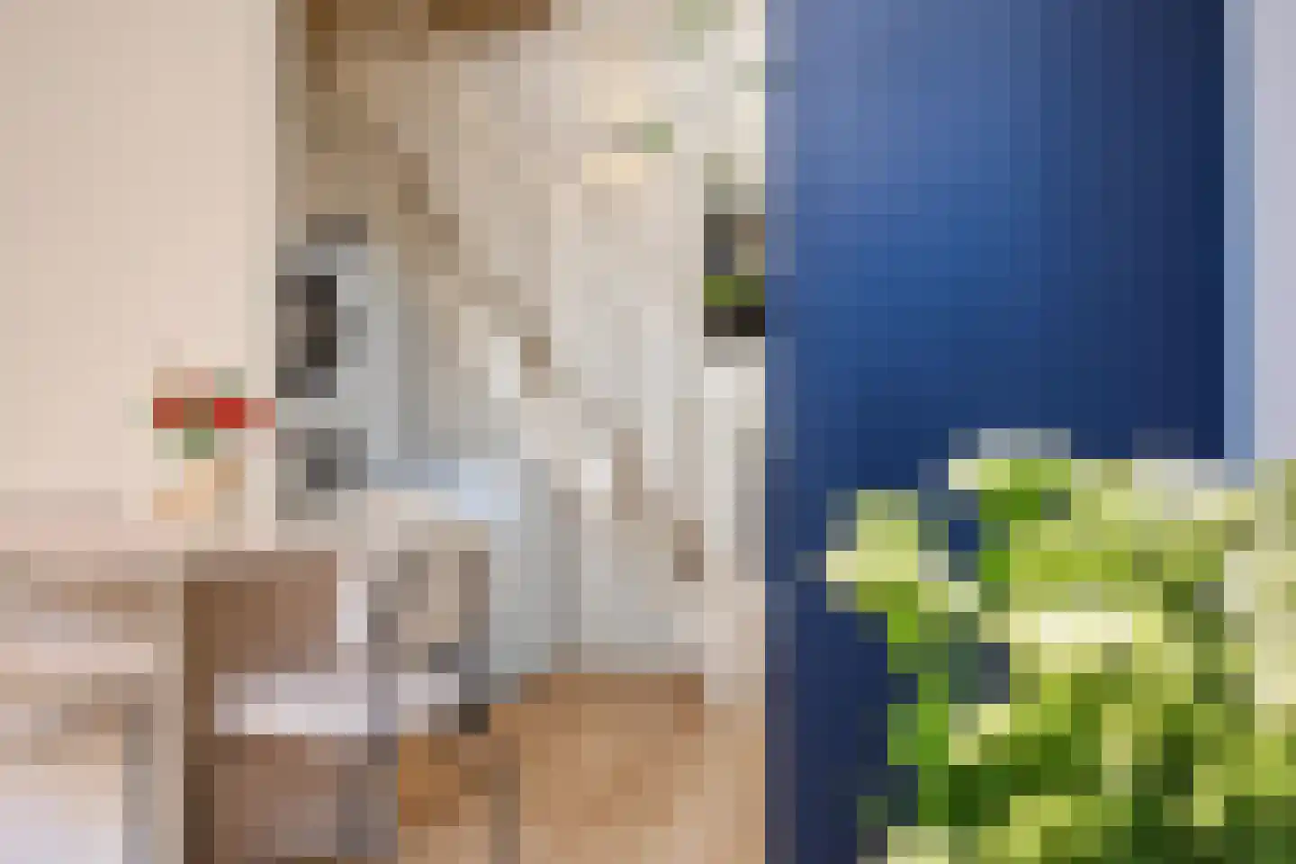 Vestdijkstraat 3 Hulst thumbnail 17
