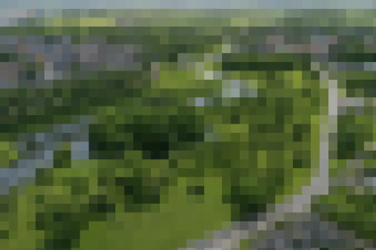 Vestdijkstraat 3 Hulst thumbnail 26