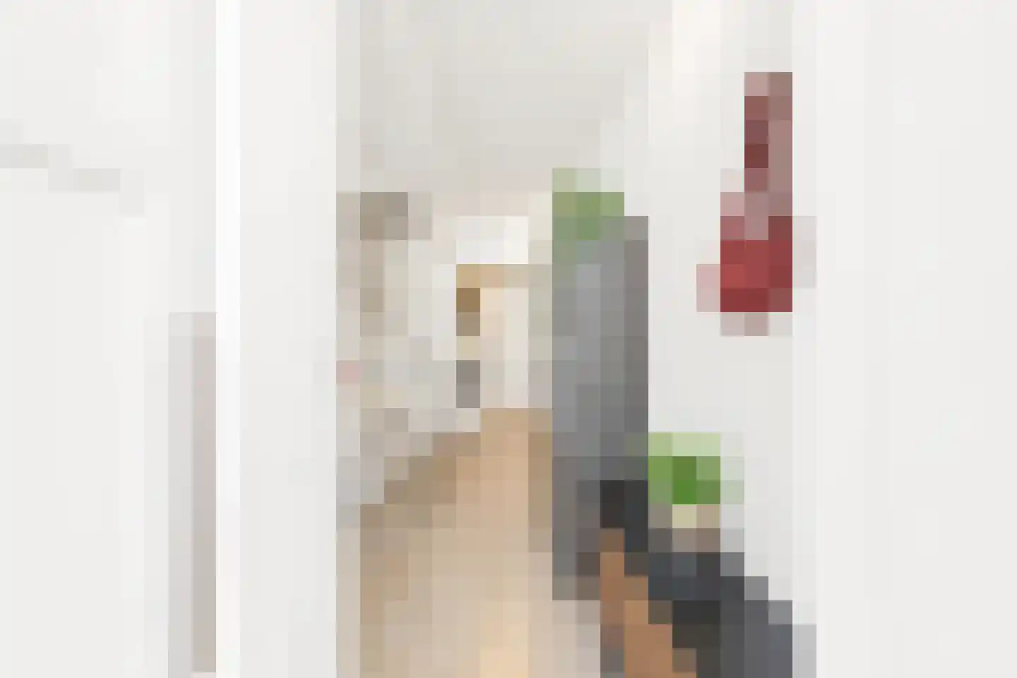 Vestdijkstraat 3 Hulst thumbnail 6