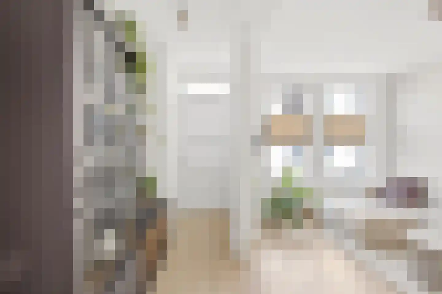 Vestdijkstraat 3 Hulst thumbnail 7