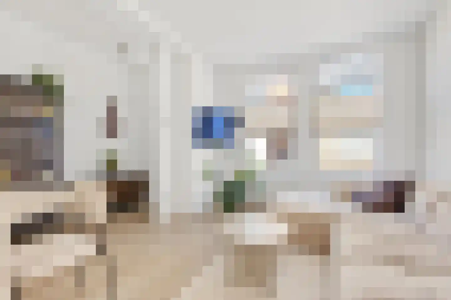 Vestdijkstraat 3 Hulst thumbnail 9