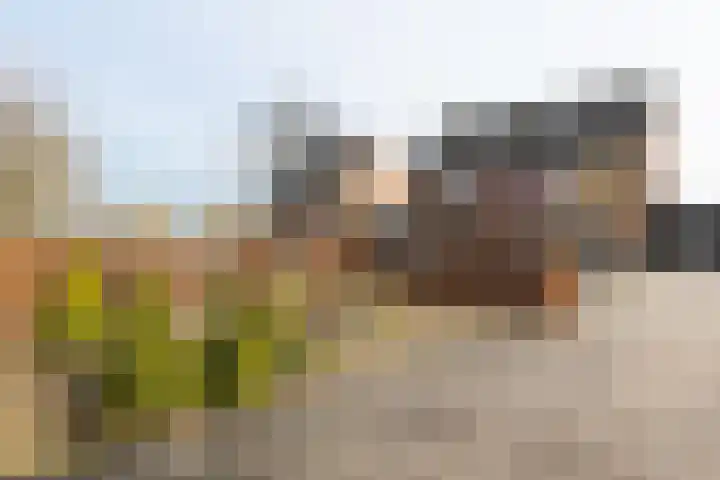 Vestdijkstraat 4 Lichtenvoorde thumbnail 34