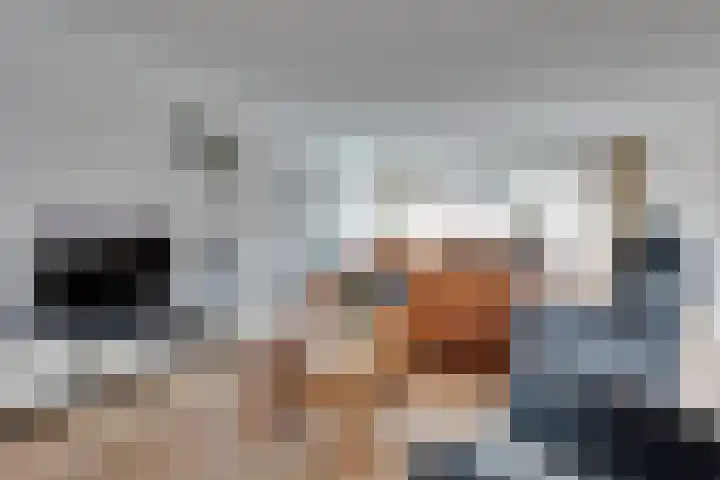 Vestdijkstraat 4 Lichtenvoorde thumbnail 6