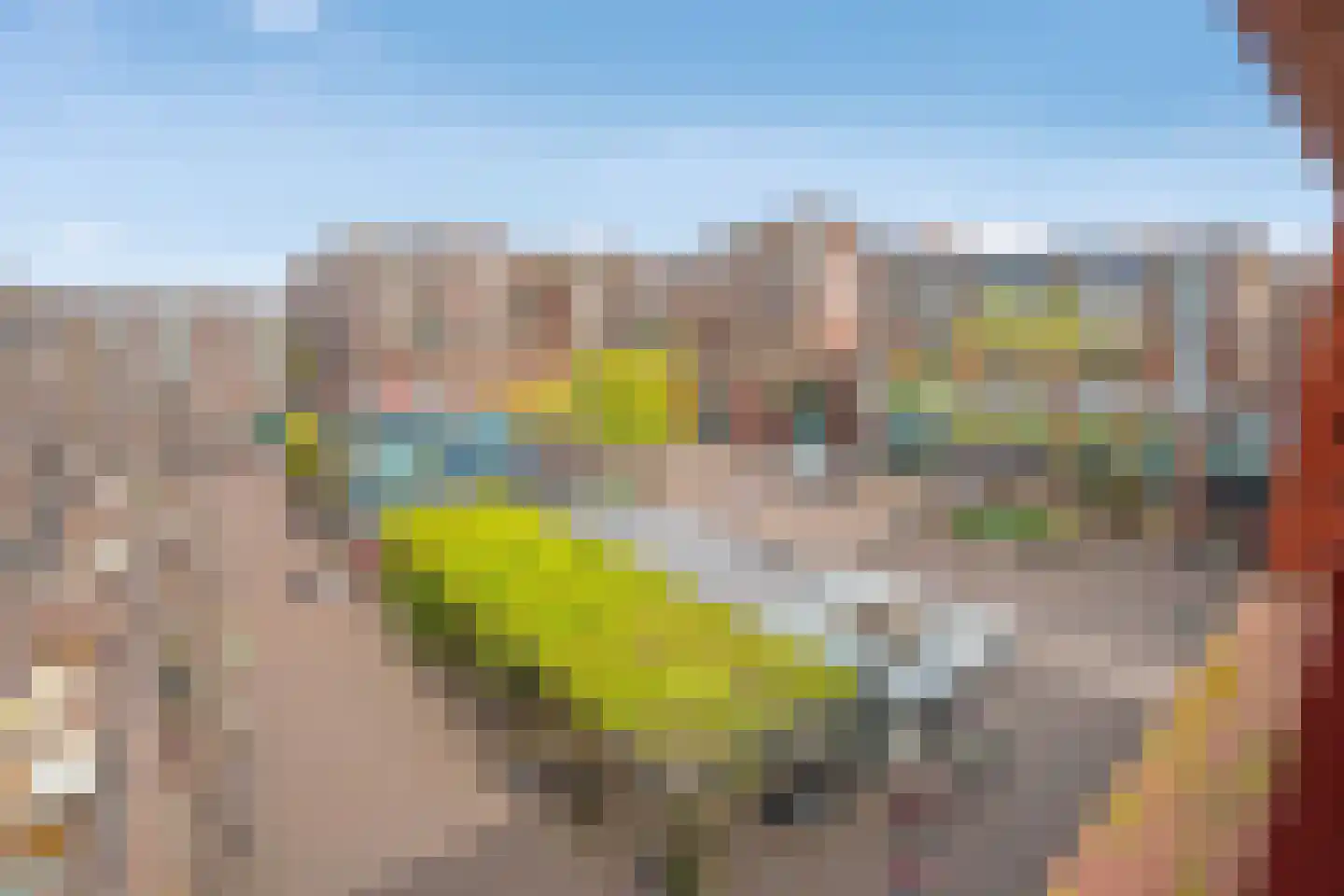Vesteplein 114 Delft thumbnail 26