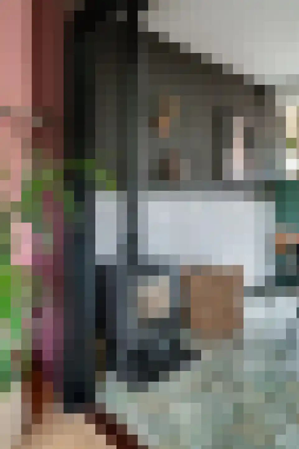 Vestersbos 7 Zevenaar thumbnail 16