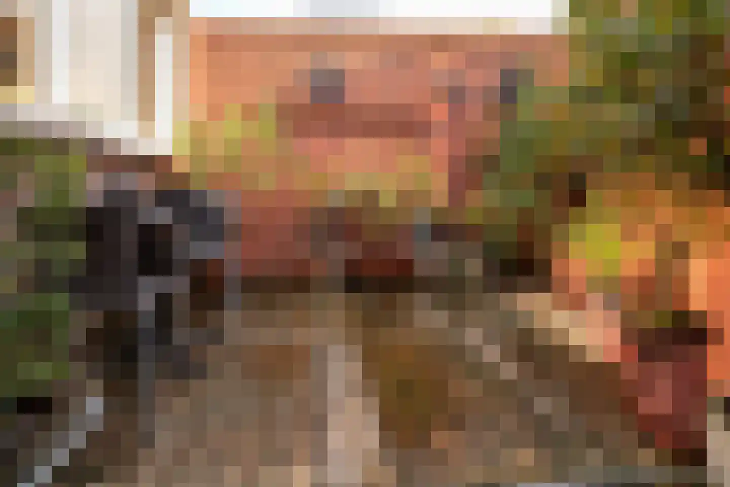 Vestersbos 7 Zevenaar thumbnail 34