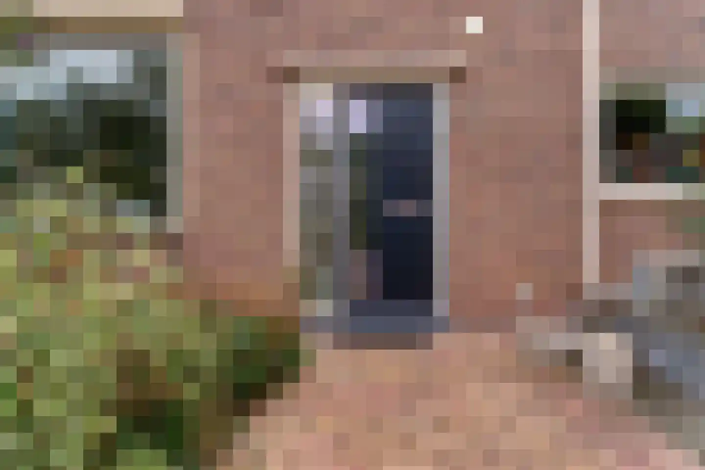 Vestersbos 9 Zevenaar thumbnail 12