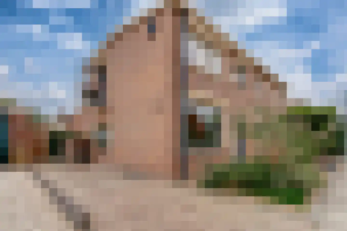 Vestersbos 9 Zevenaar thumbnail 7
