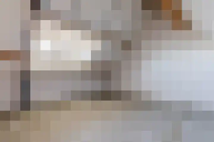 Vestesingel 108 Herten thumbnail 29