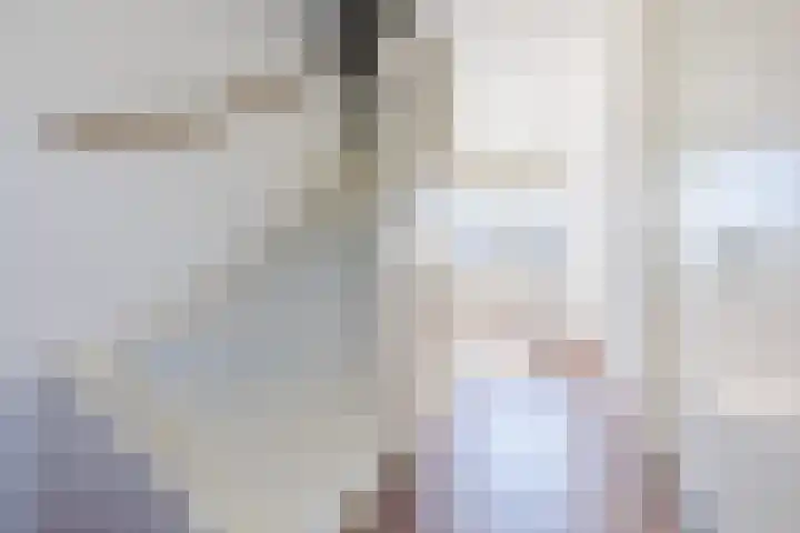 Vestesingel 108 Herten thumbnail 30