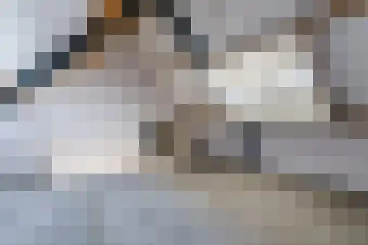 Vestesingel 108 Herten thumbnail 31