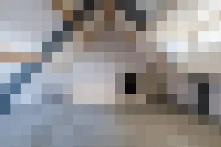 Vestesingel 108 Herten thumbnail 32