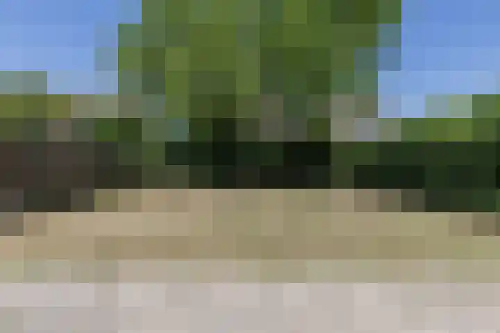 Vestesingel 108 Herten thumbnail 34