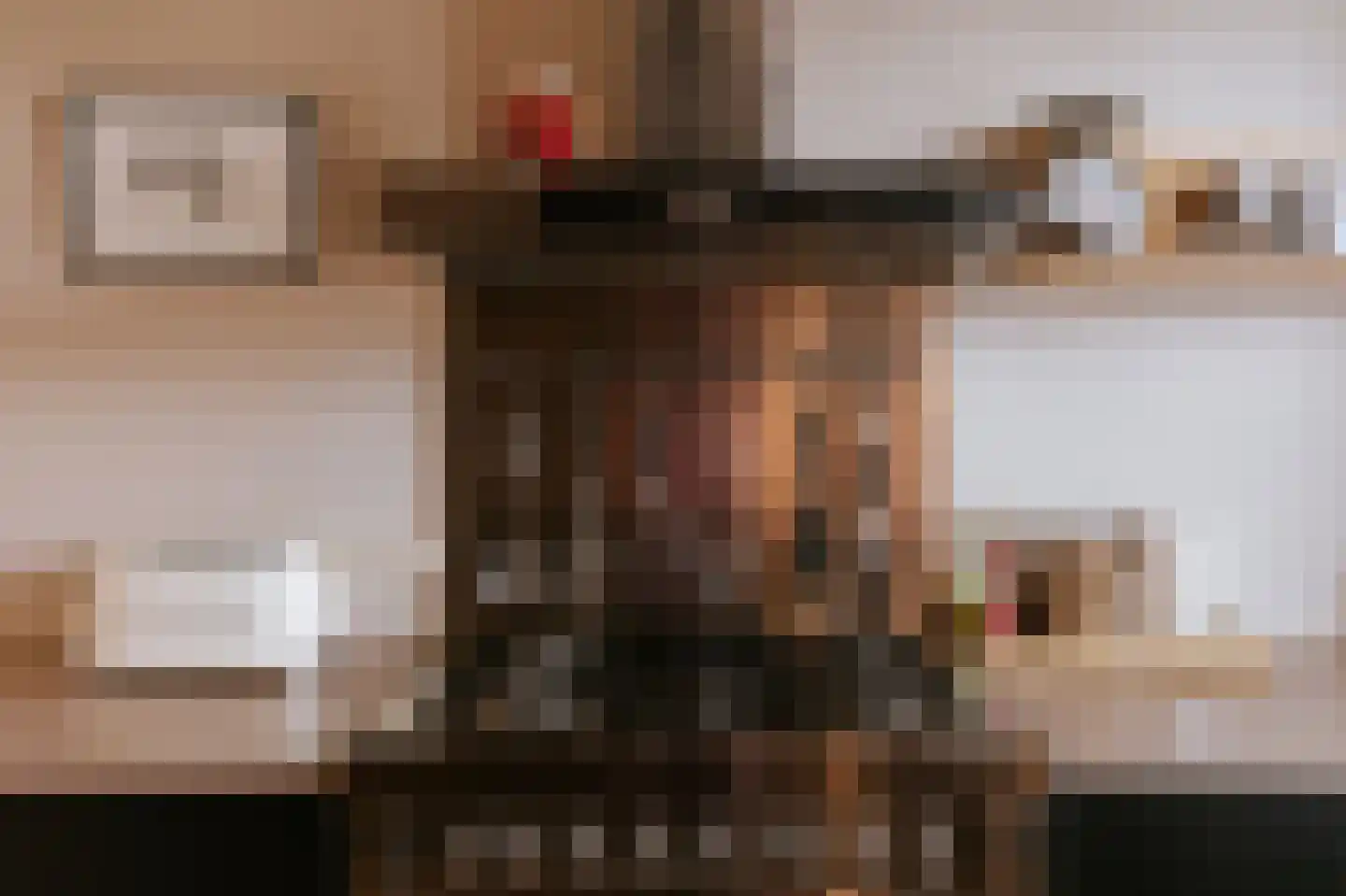 Vestesingel 13 Herten thumbnail 19