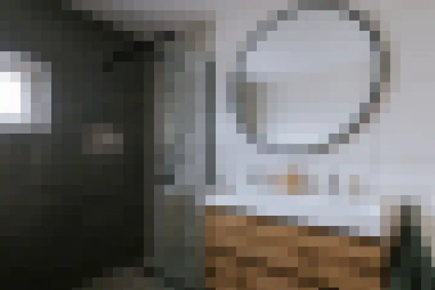 Vestesingel 13 Herten thumbnail 29