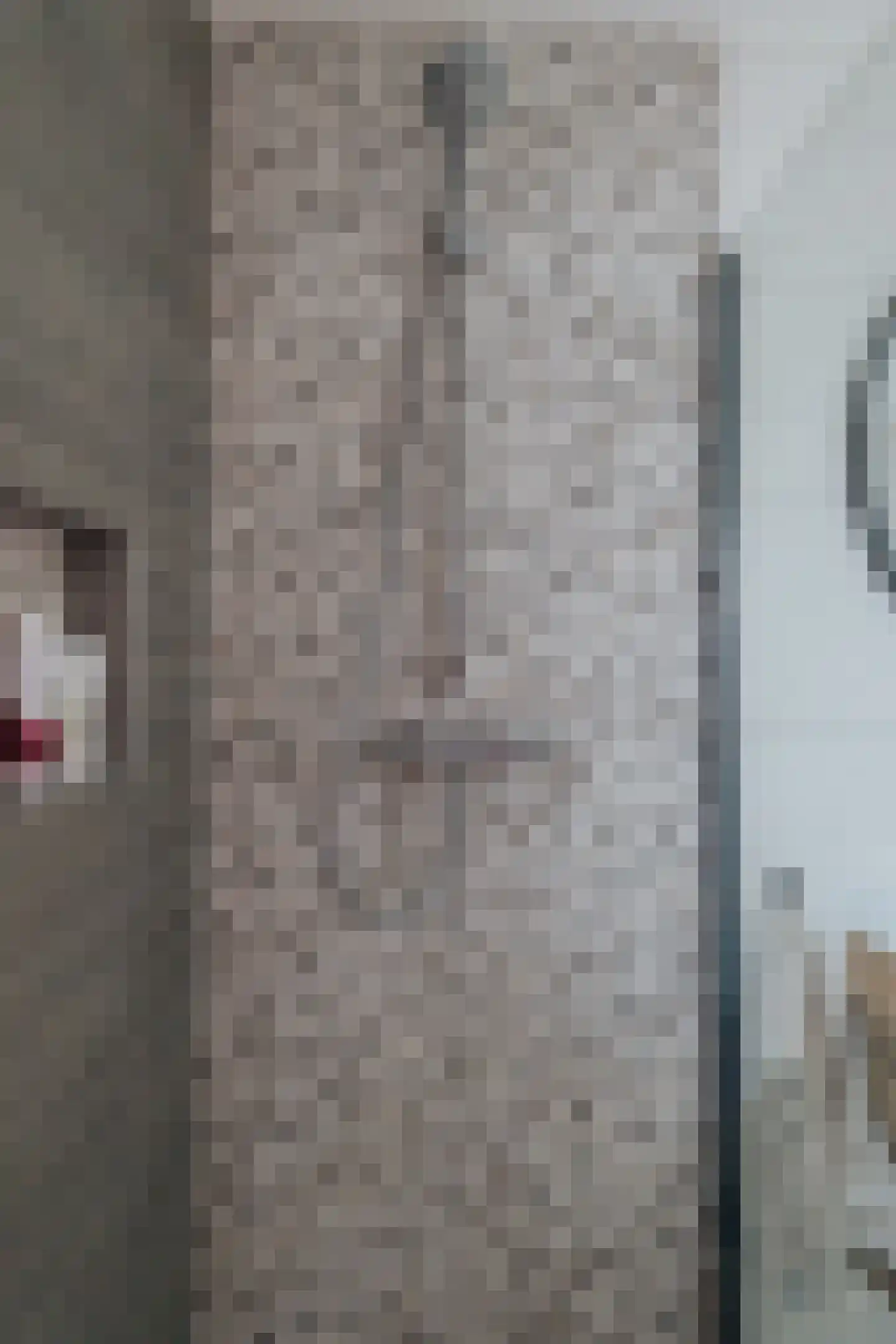 Vestesingel 13 Herten thumbnail 30