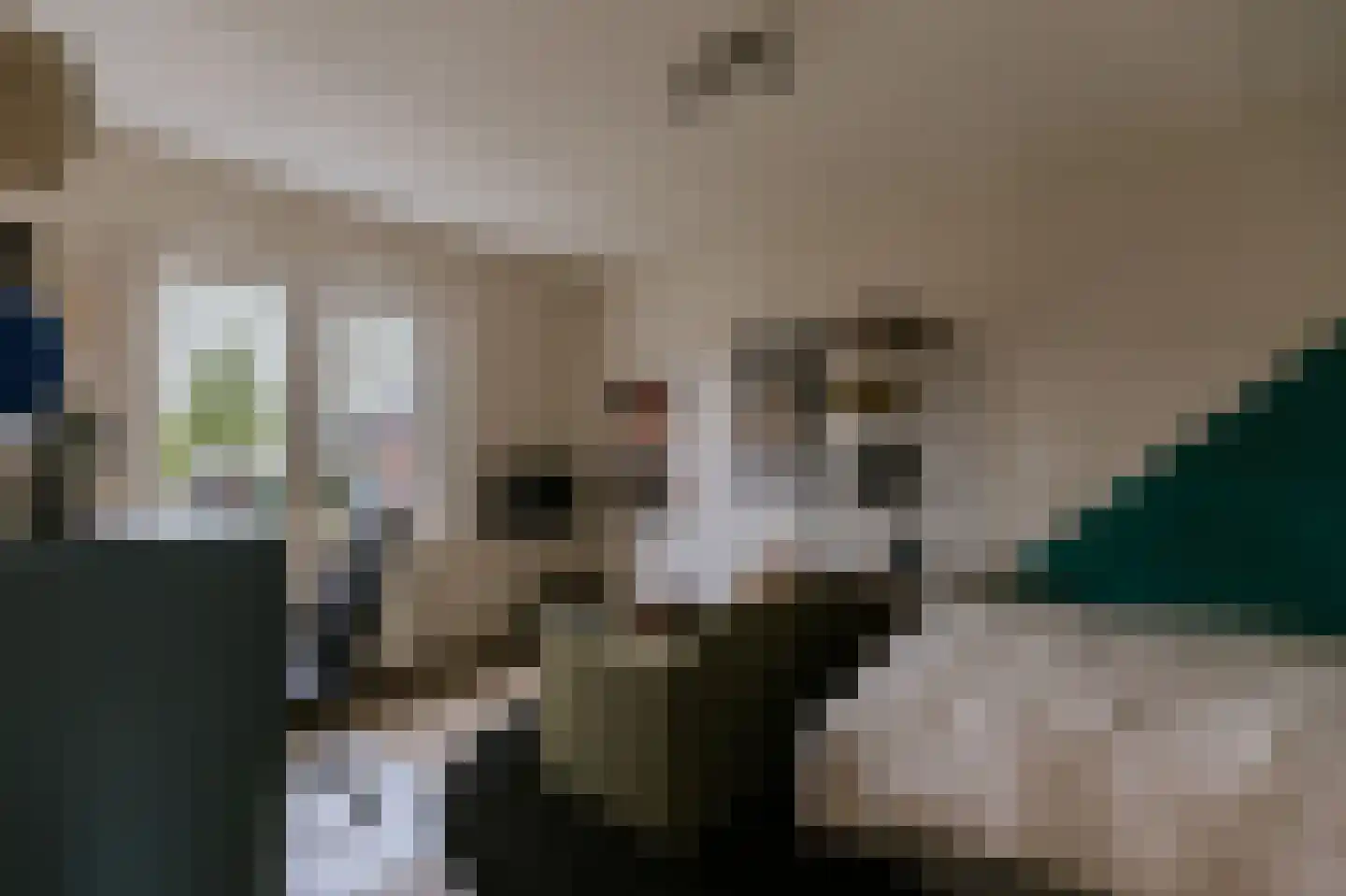 Vestesingel 13 Herten thumbnail 33