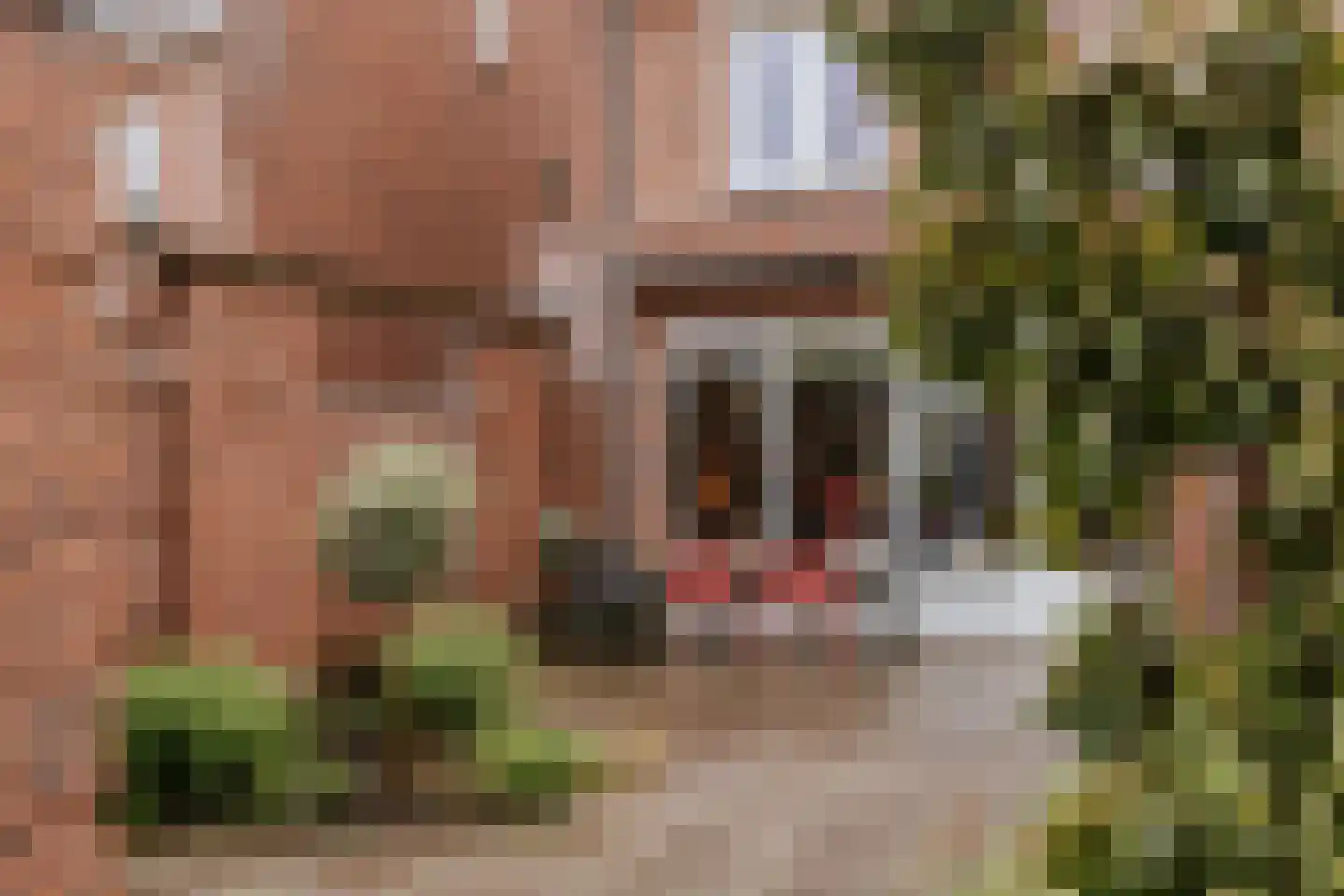 Vestesingel 13 Herten thumbnail 4