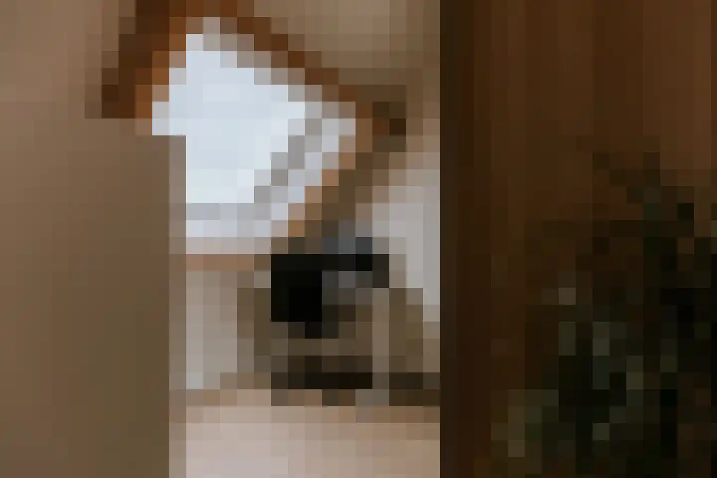 Vestesingel 13 Herten thumbnail 47
