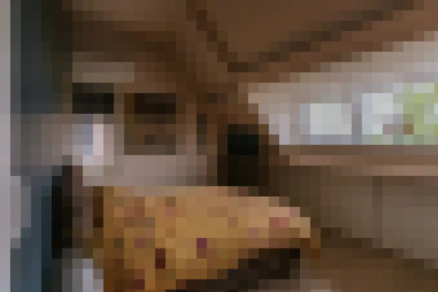 Vestesingel 13 Herten thumbnail 48