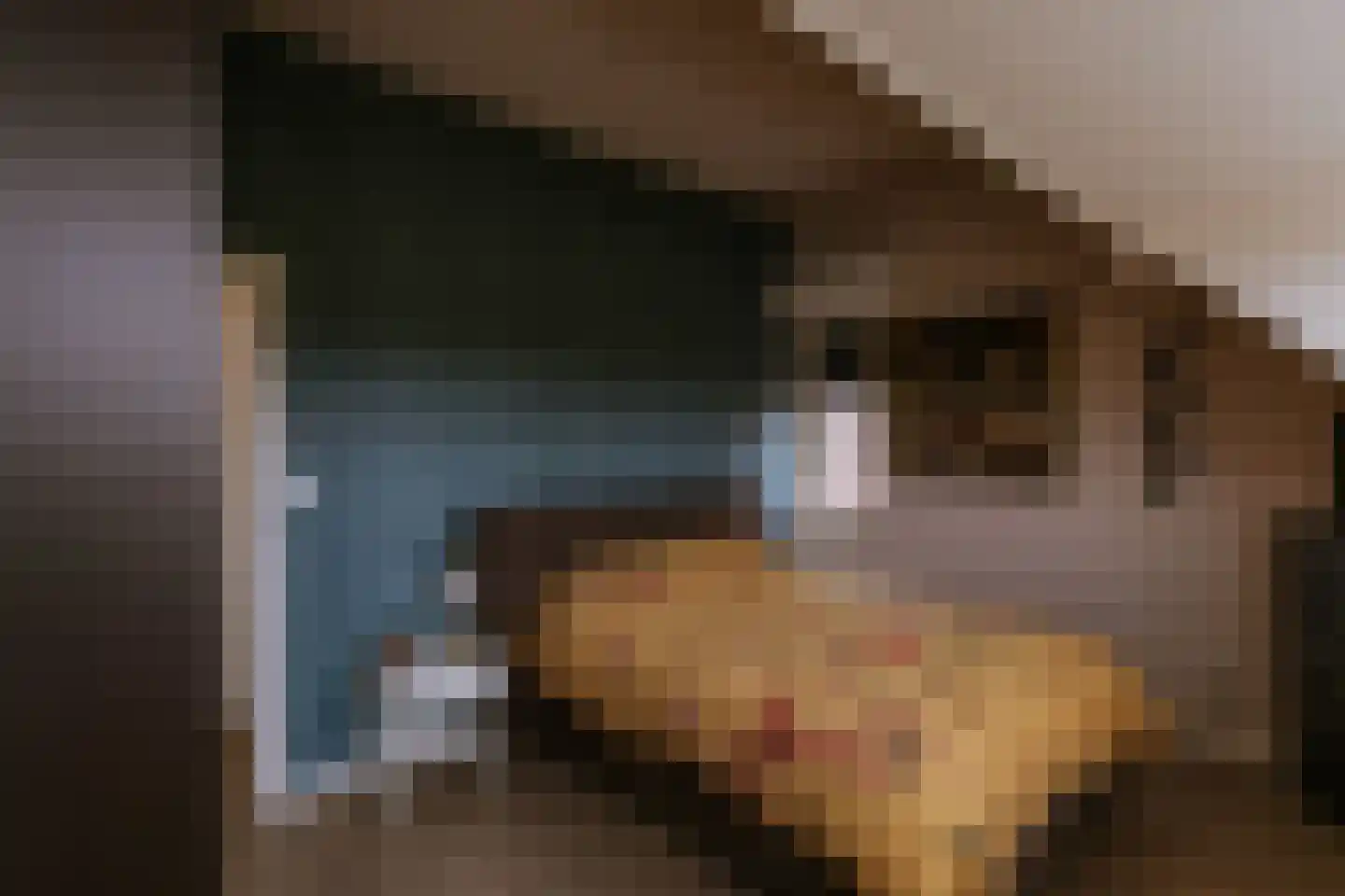 Vestesingel 13 Herten thumbnail 49