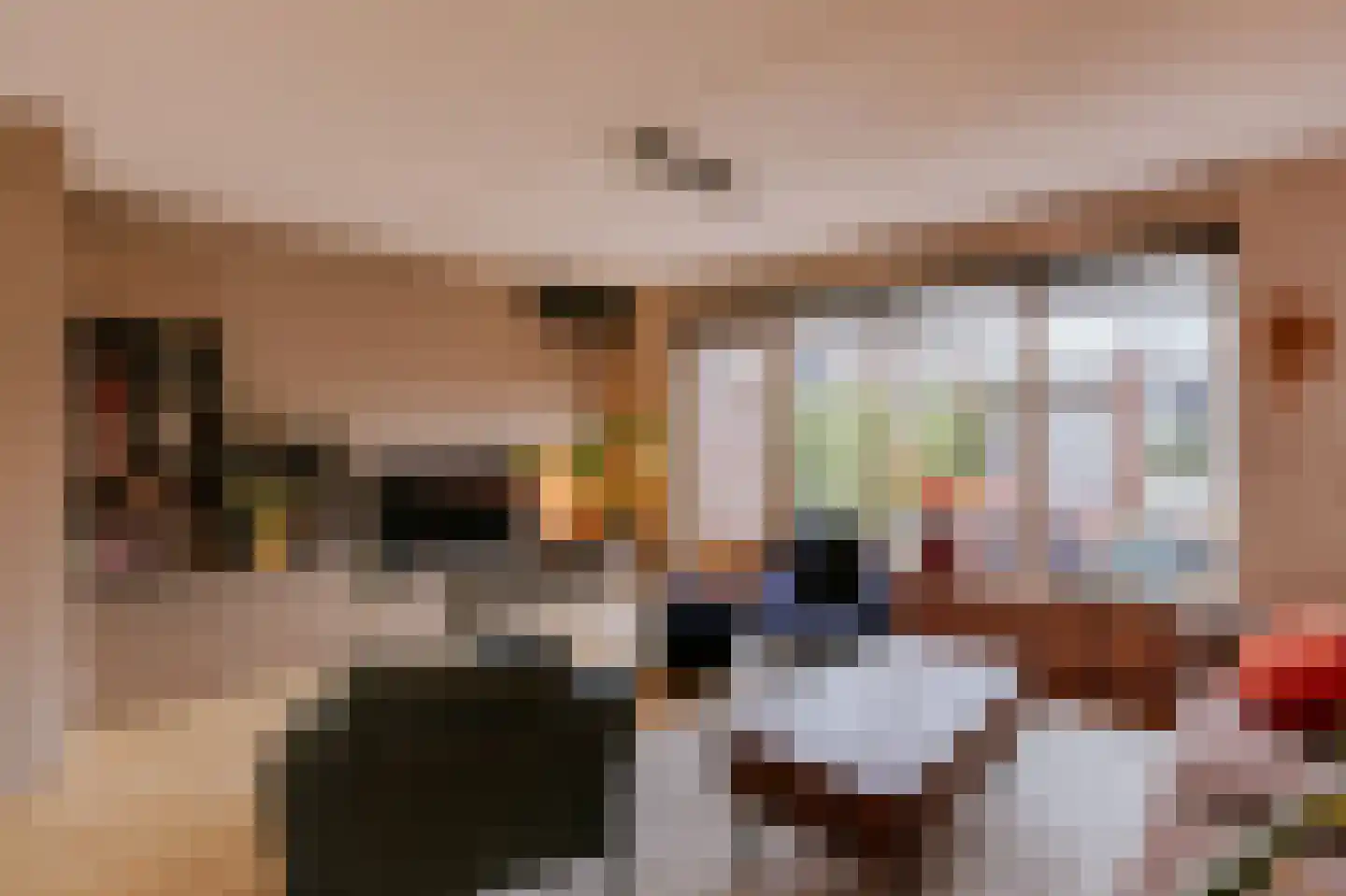 Vestesingel 13 Herten thumbnail 5