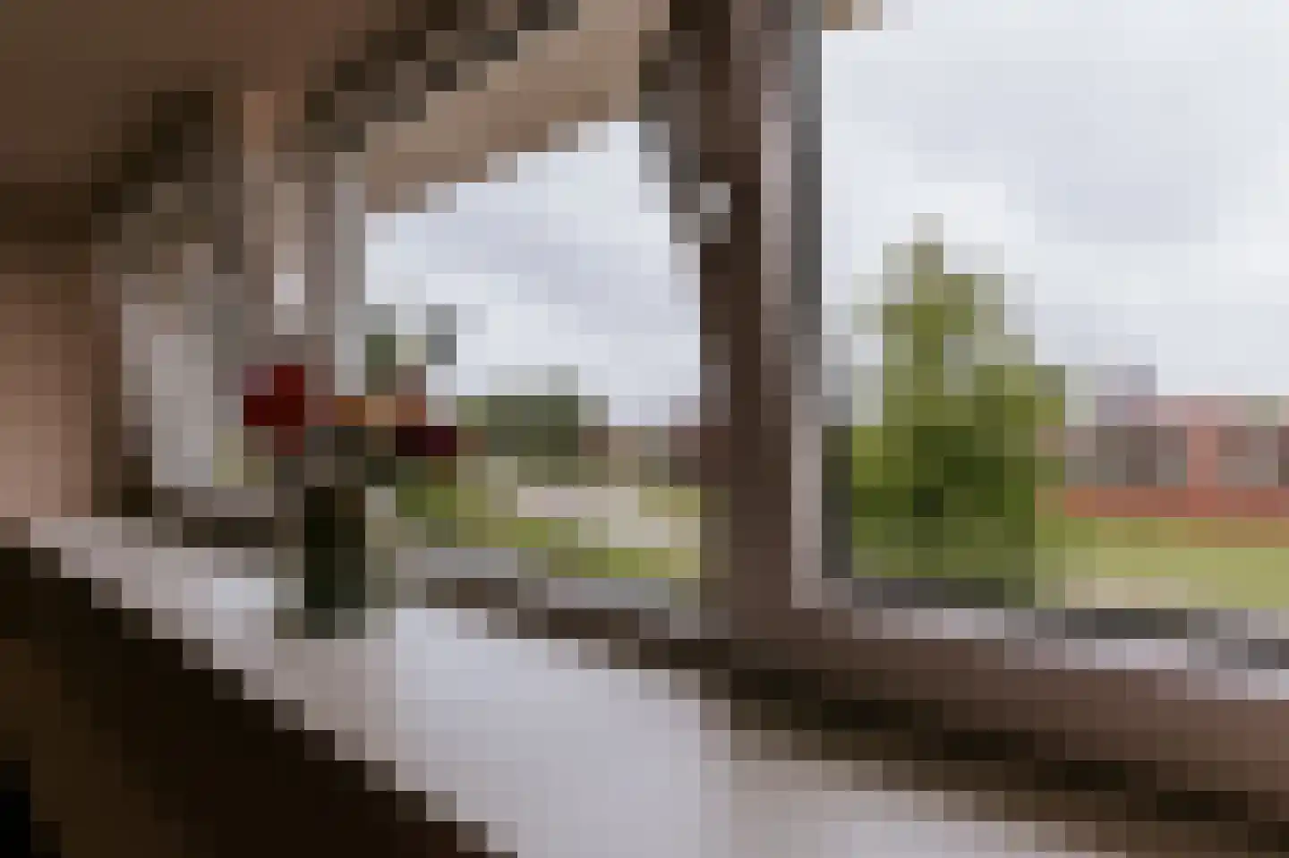 Vestesingel 13 Herten thumbnail 50