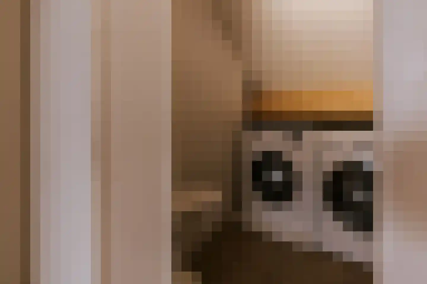 Vestesingel 13 Herten thumbnail 53