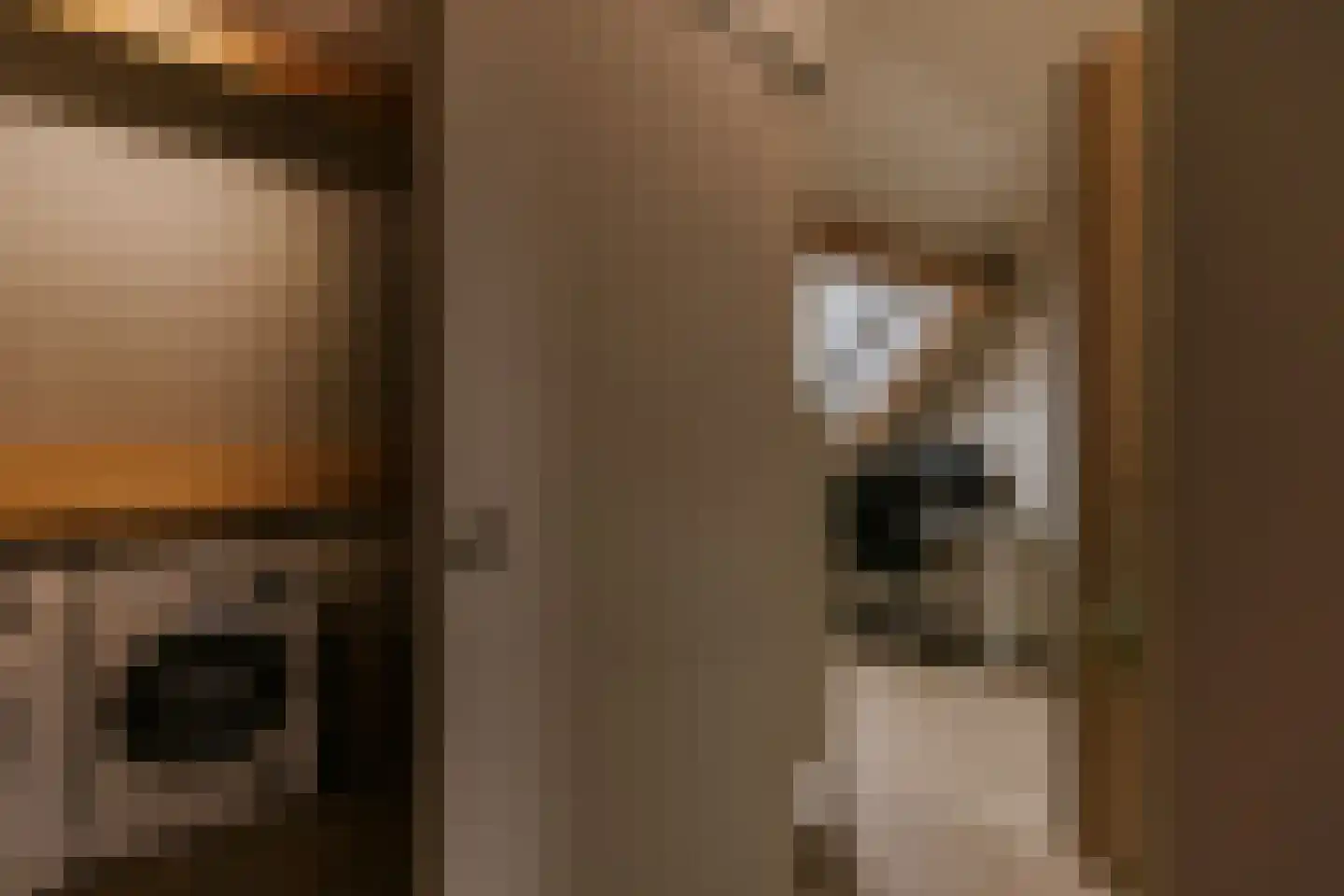 Vestesingel 13 Herten thumbnail 54