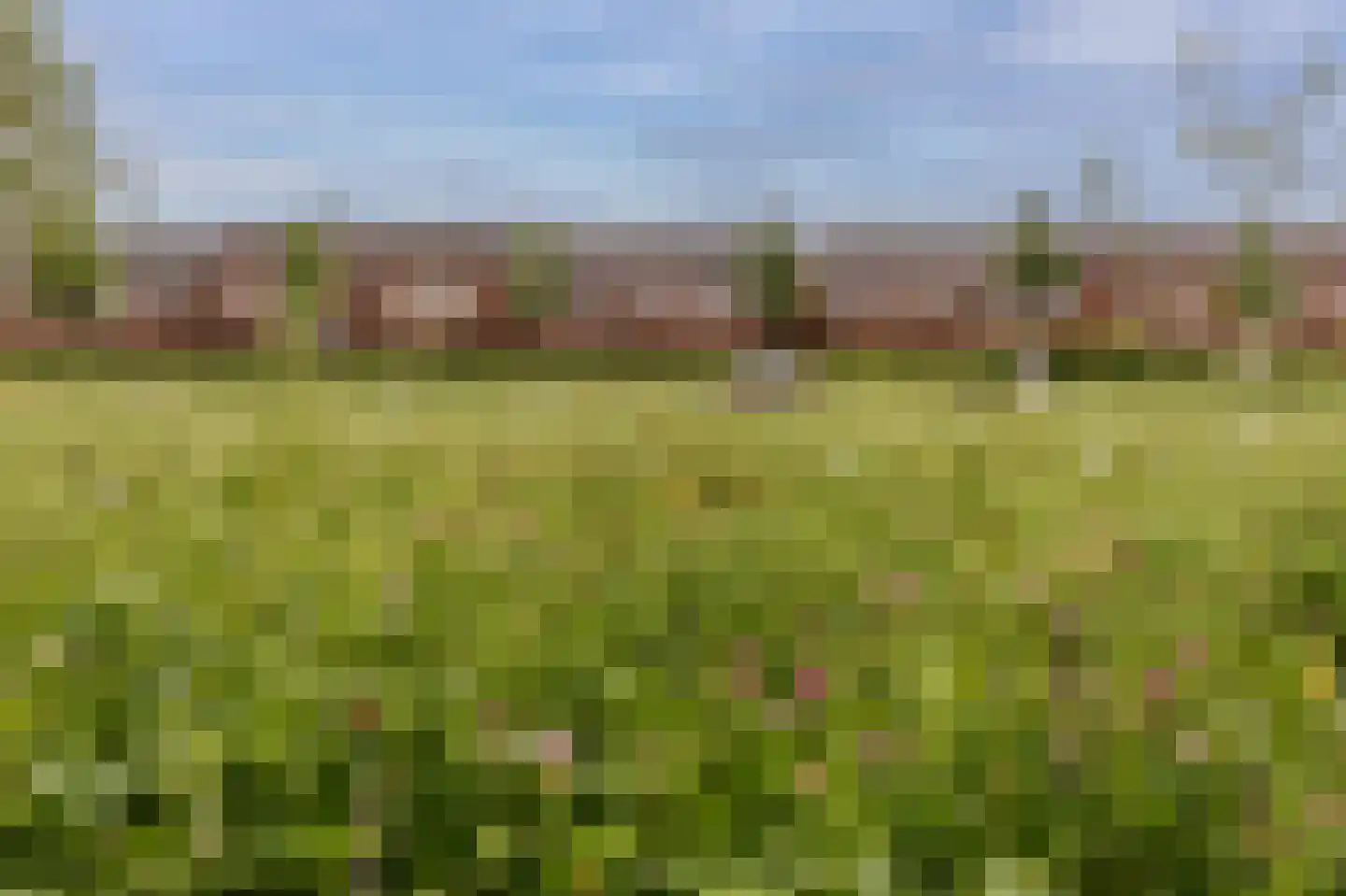 Vestesingel 13 Herten thumbnail 6