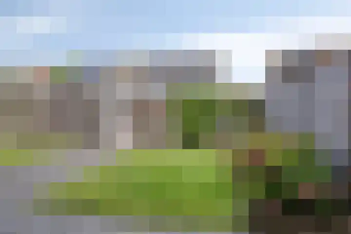Vestesingel 140 Assen thumbnail 13