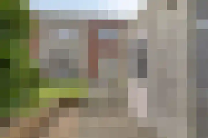 Vestesingel 140 Assen thumbnail 14
