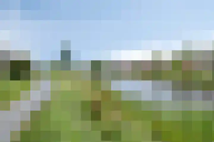 Vestesingel 140 Assen thumbnail 24