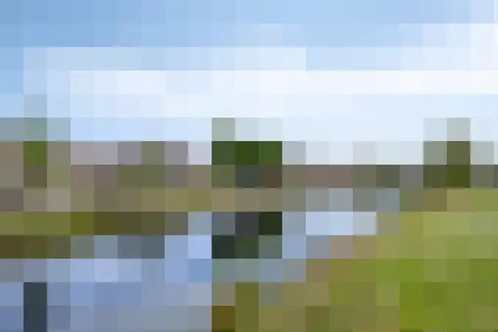 Vestesingel 140 Assen thumbnail 25