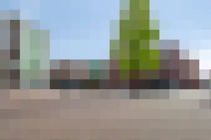 Vestesingel 140 Assen thumbnail 26