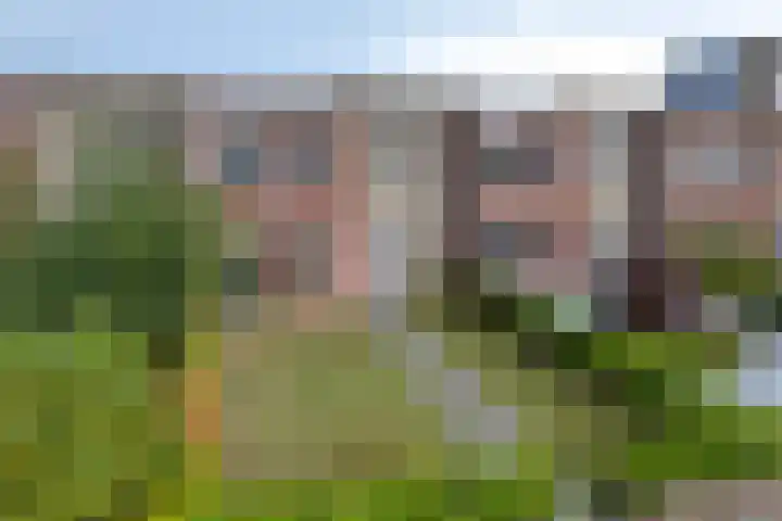 Vestesingel 140 Assen thumbnail 4