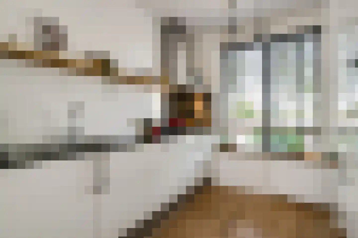 Vestesingel 26 Herten thumbnail 13