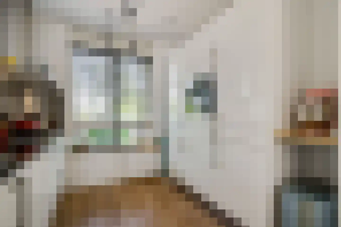 Vestesingel 26 Herten thumbnail 14