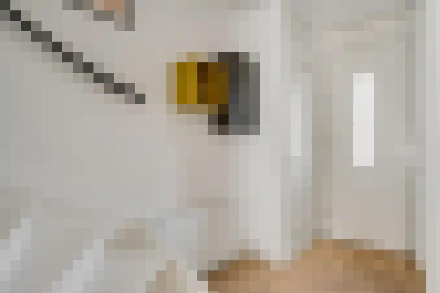 Vestesingel 26 Herten thumbnail 16