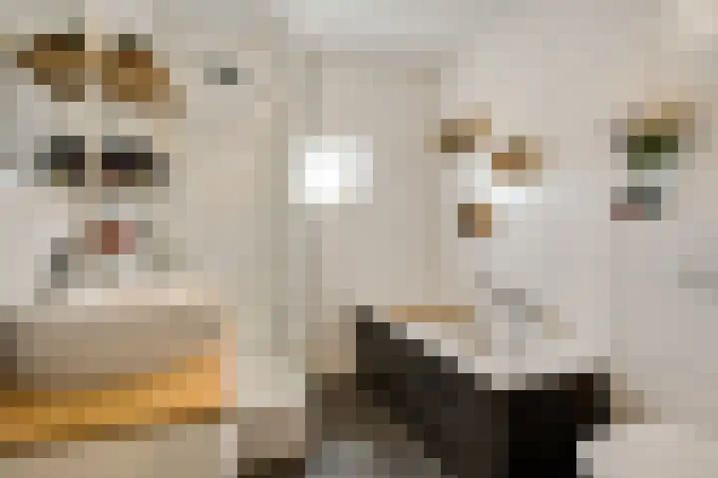 Vestesingel 26 Herten thumbnail 27