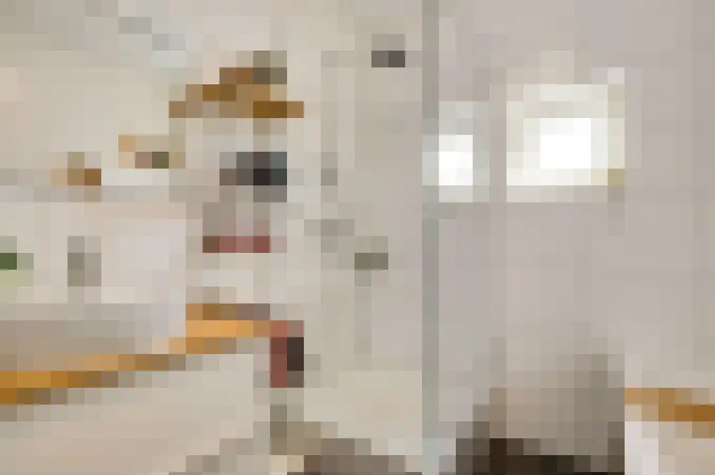 Vestesingel 26 Herten thumbnail 29